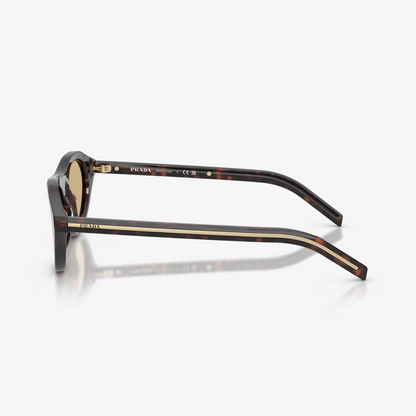 Sonara Settini Sunglasses